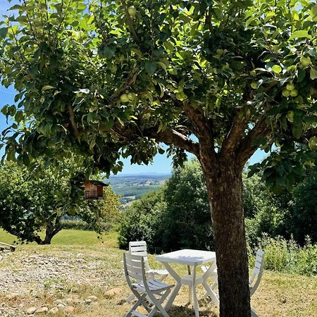 Willa Gite Chez Polo Chateauneuf-de-Galaure Zewnętrze zdjęcie