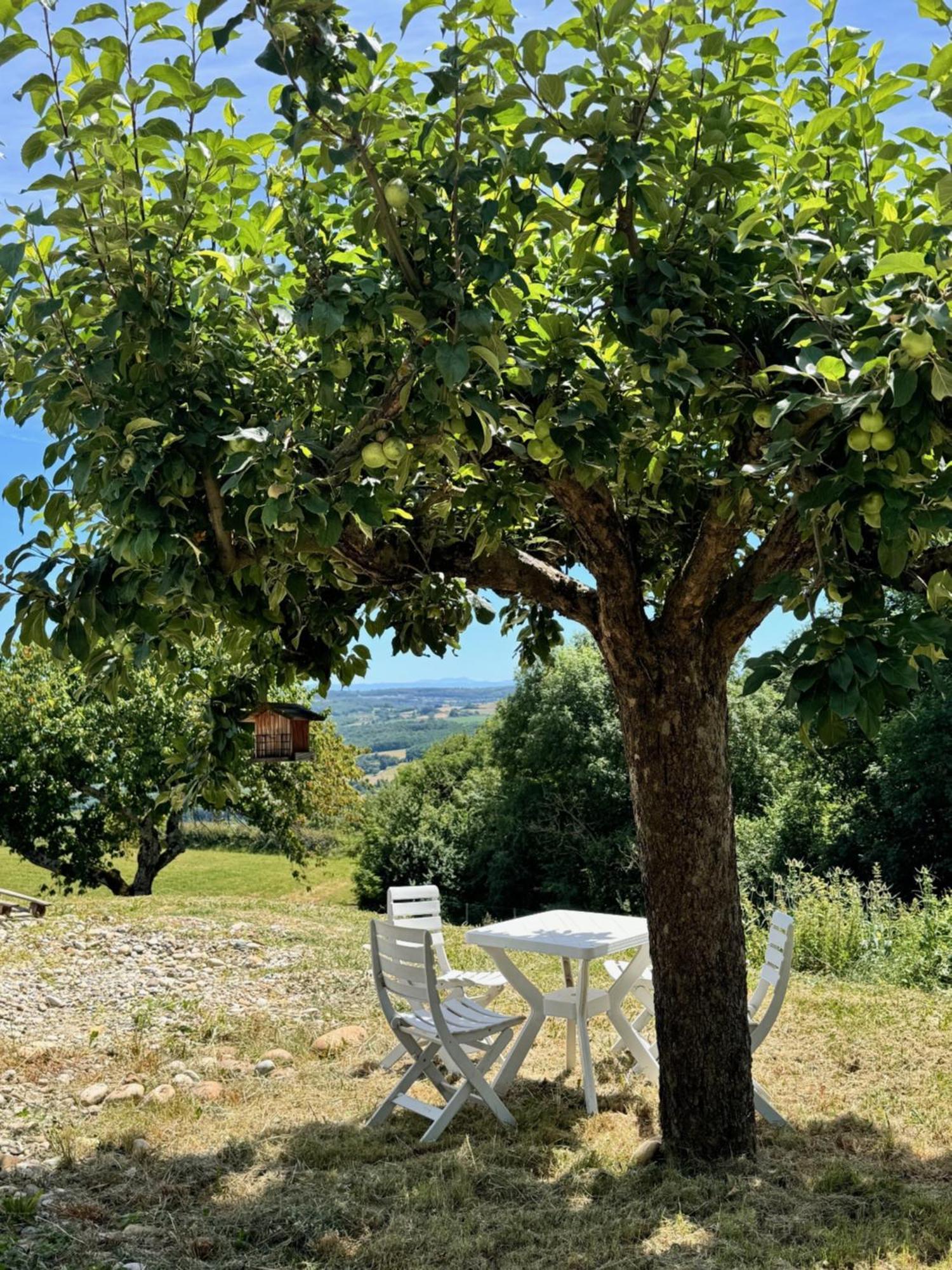 Willa Gite Chez Polo Chateauneuf-de-Galaure Zewnętrze zdjęcie